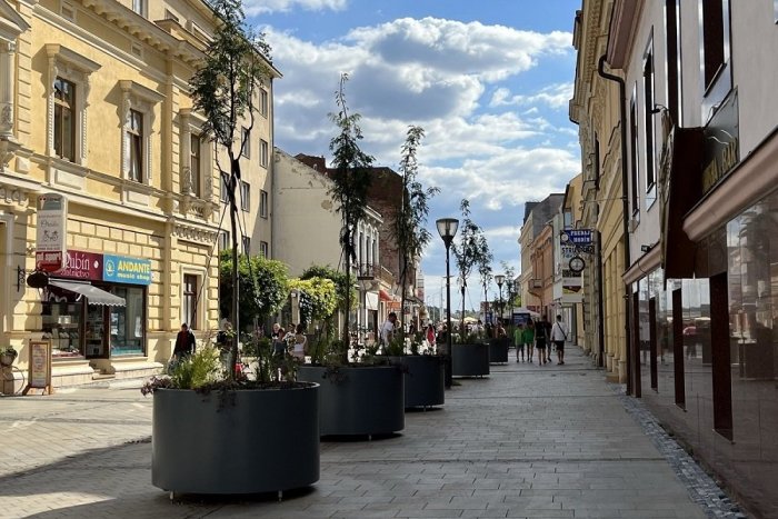 Ilustračný obrázok k článku Pešiu zónu v Nitre skrášlili nové stromy: Rastú v mobilných kvetináčoch, FOTO