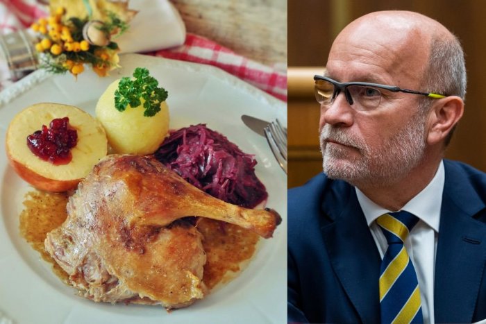 Ilustračný obrázok k článku Na vláde bolo VESELO: Pre ministra Káčera sme pripravili na obed KAČKU, chichúňal sa Matovič
