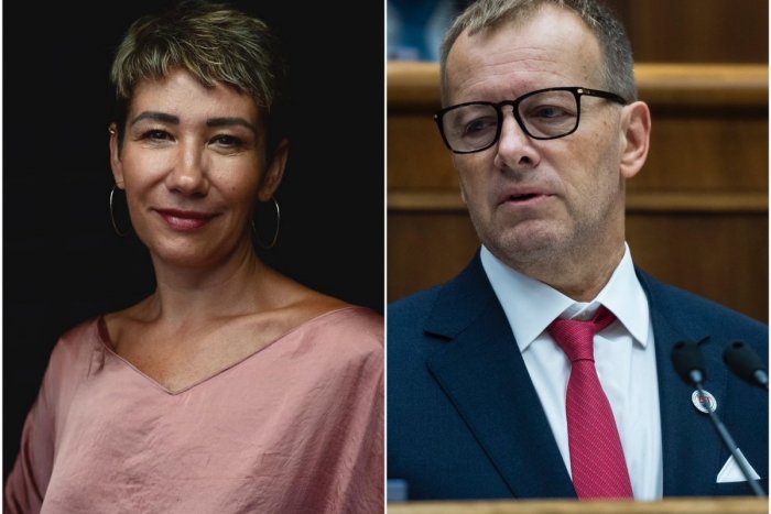 Ilustračný obrázok k článku Nicholsonová sa OBULA do Kollára: On, čo chce TRANSKY, hľadá tradičného ministra školstva?