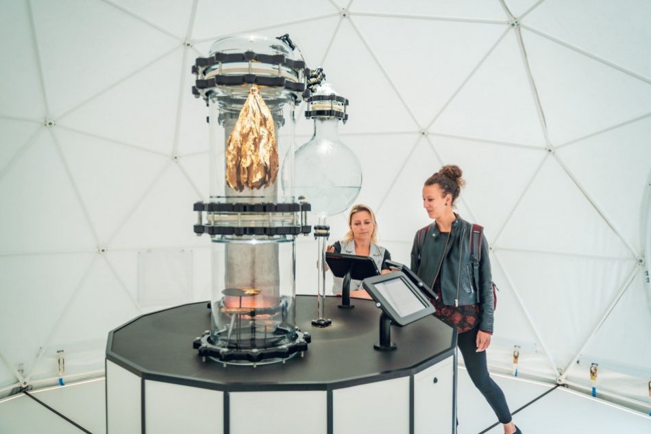 Ilustračný obrázok k článku Na Slovensku máme približne 23% fajčiarov. Ako skoncovať s fajčením poradí odborníčka v interaktívnom laboratóriu