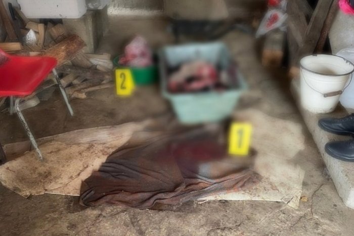 Ilustračný obrázok k článku NECHUTNÝ prípad na východe: Muž dobil 5 psov a rozporcioval ich!