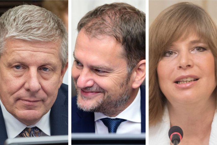 Ilustračný obrázok k článku Vieme, KOĽKO zarobili členovia vlády: Čo všetko priznali Matovič či Remišová?