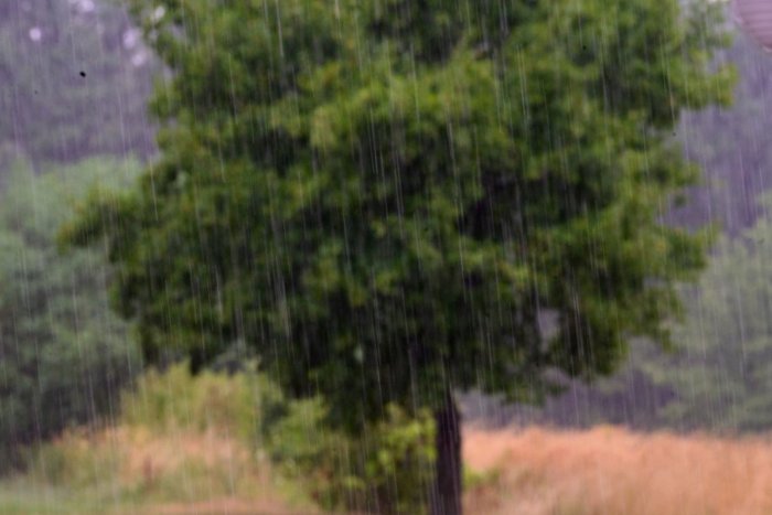 Ilustračný obrázok k článku Vo Veľkom Šariši idú s dobou: Pri projektoch rátajú so zadržiavaním zrážkových vôd