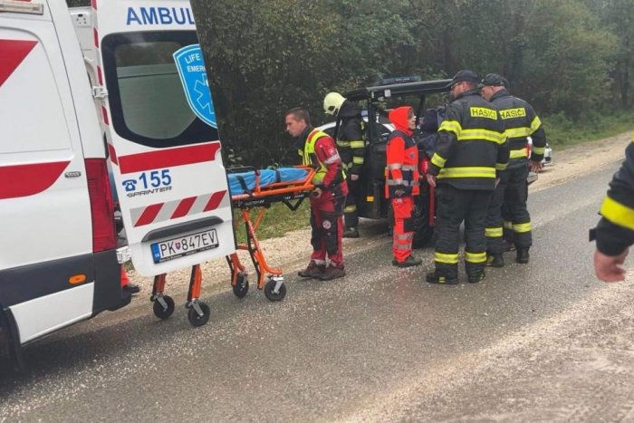 Ilustračný obrázok k článku Dôchodkyňa išla na huby, no domov sa nevrátila: Našli ju až na druhý deň!