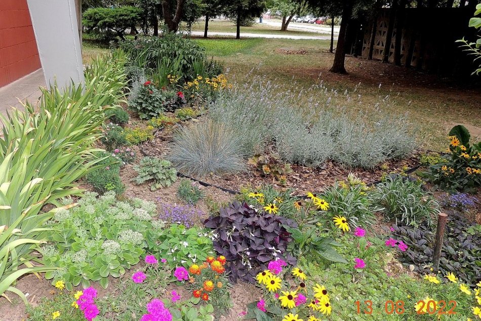 Ilustračný obrázok k článku Prešov spoznal NAJKRAJŠIE predzáhradky i balkóny: Bodovalo sa najmä na Prostějovskej, FOTO