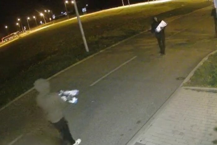 Ilustračný obrázok k článku Grázli sa v Bratislave VYZÚRILI na takmer štyridsiatich autách: TOTO po nich zostalo! +VIDEO