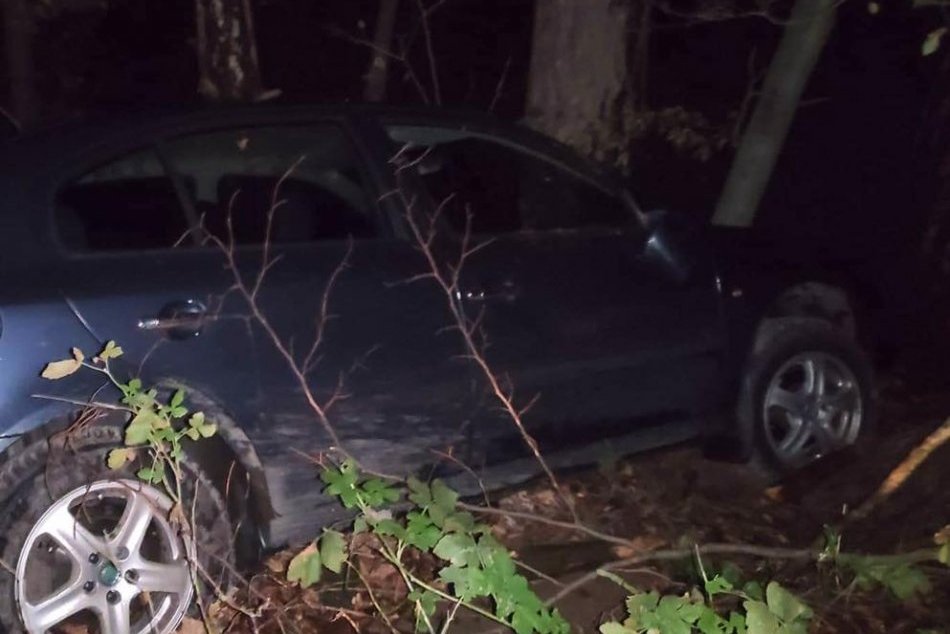 Ilustračný obrázok k článku Opitý vodič spôsobil ROZRUCH na Podpoľaní: Po policajnej NAHÁŇAČKE skončil v strome, FOTO