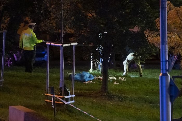 Ilustračný obrázok k článku ŠOKUJÚCE info o vodičovi: Za volantom sedel OPITÝ generálny sekretár deaflympijského výboru!