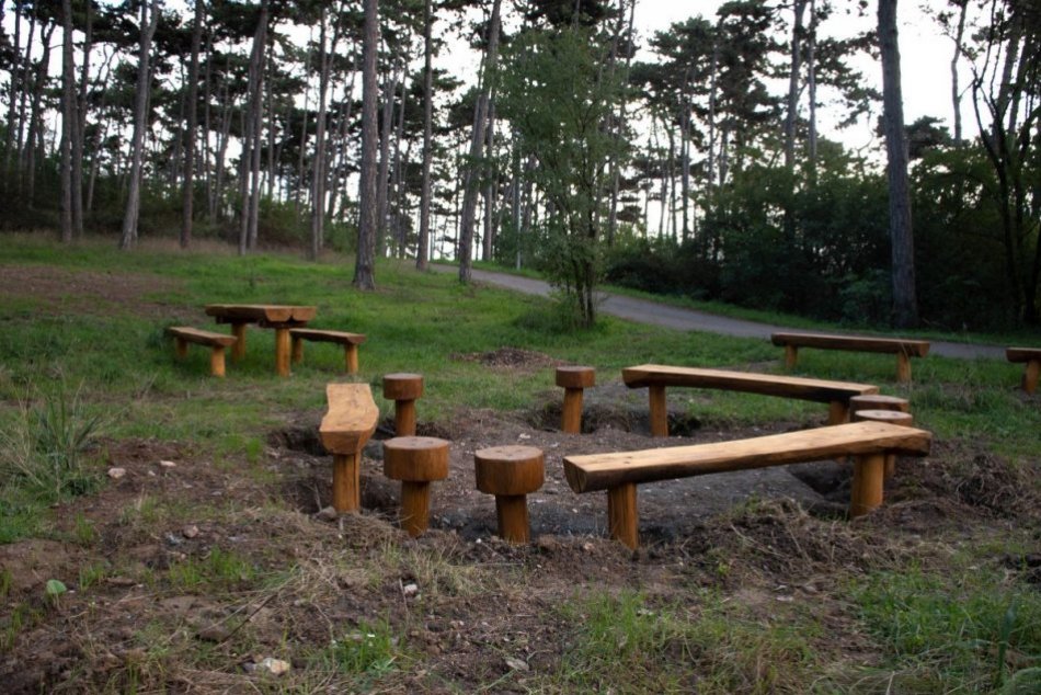 Ilustračný obrázok k článku Borina ako BLUDISKO: V lese sa bude konať nové podujatie Nájdi svojho kliešťa