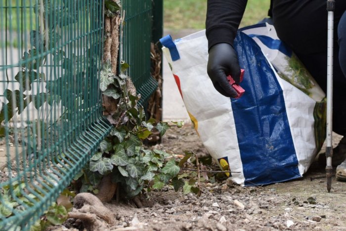 Ilustračný obrázok k článku V meste sa začala pravidelná celoplošná DERATIZÁCIA: Kto si ju musí zabezpečiť sám?