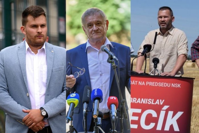 Ilustračný obrázok k článku Výsledky ANKETY: Kto by sa podľa čitateľov stal ŽUPANOM Nitrianskeho kraja?