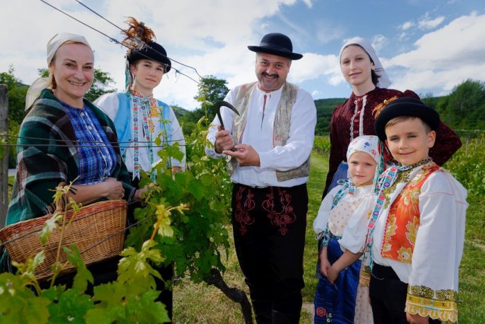 Ilustračný obrázok k článku Tesco opäť daruje 170-tisíc eur na podporu projektov po celom Slovensku