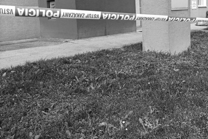 Ilustračný obrázok k článku Hrozná TRAGÉDIA v Bratislave: Mladá žena zomrela po páde z 5. poschodia paneláku