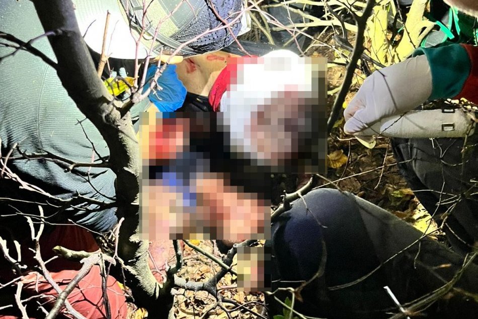 Ilustračný obrázok k článku HRÔZA počas behu! Do muža sa zahryzol medveď, napadol ho dokopy TRIKRÁT!