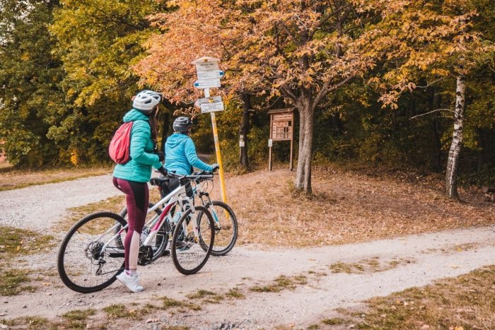 Ilustračný obrázok k článku Trnavský kraj vyčlenil desaťtisíce eur: Označí 160 KILOMETROV nových cyklotrás