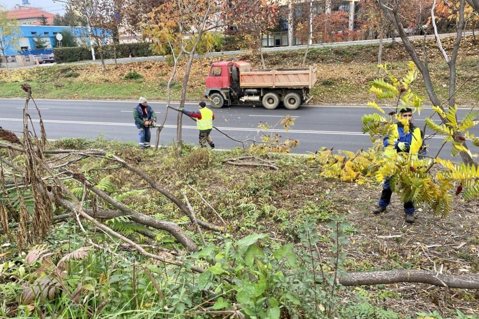 Ilustračný obrázok k článku Na hlavnom ťahu v Bystrici zvýšte opatrnosť: Prebieha tam údržba zelene, FOTO