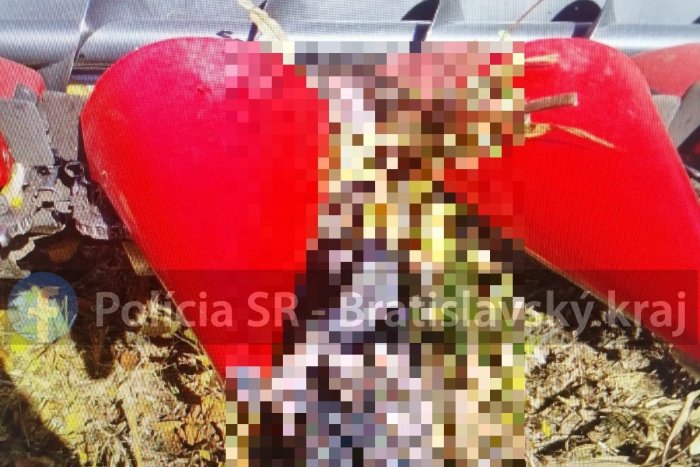 Ilustračný obrázok k článku TRAGÉDIA na poli pri hlavnom meste: Kombajn prešiel po ležiacej osobe! Už to rieši polícia