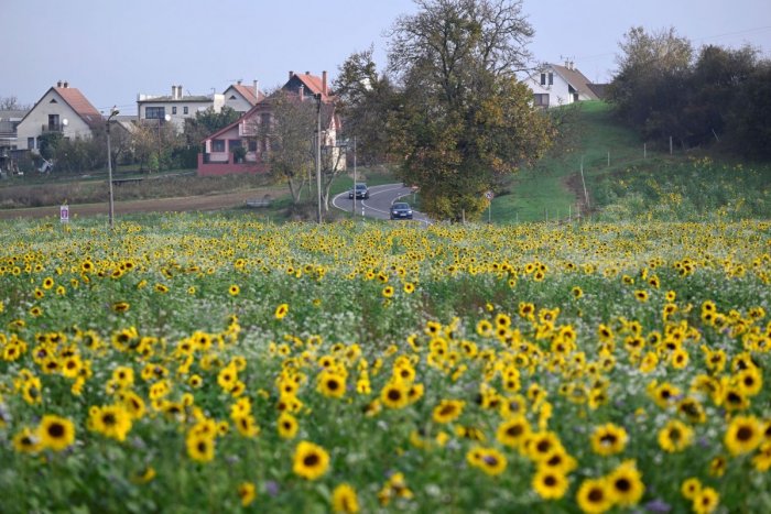 Ilustračný obrázok k článku Máme za sebou NEUVERITEĽNE teplý mesiac: Najvyššia teplota bola vyššia ako v LETE!