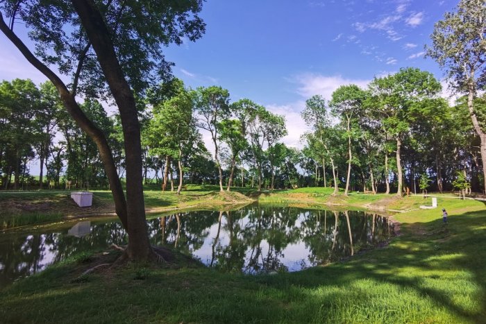 Ilustračný obrázok k článku Nové zelené pľúca Trnavy? Pri lesíku na Štrkoch vysadia tisícky stromov!