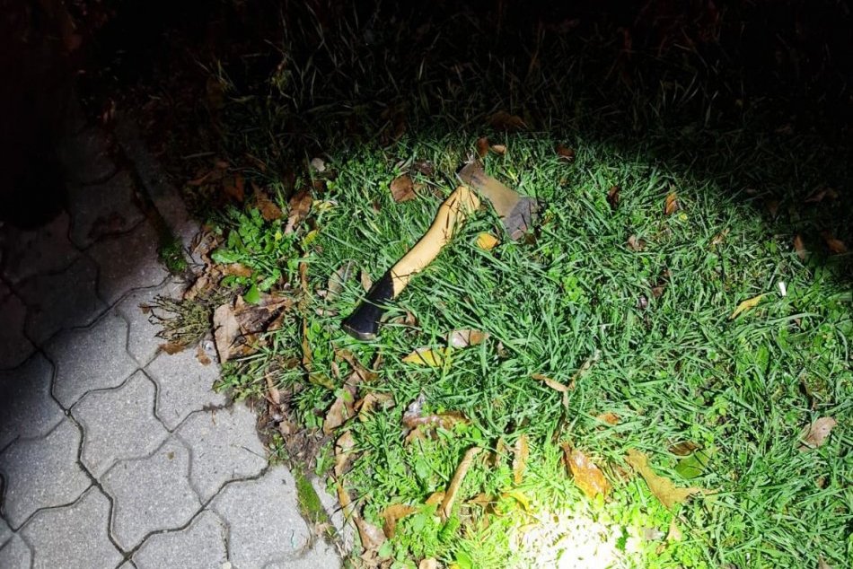 Ilustračný obrázok k článku Hrôzostrašná scéna v Bratislave: Po uliciach chodil muž so SEKEROU, na výzvy polície nereagoval