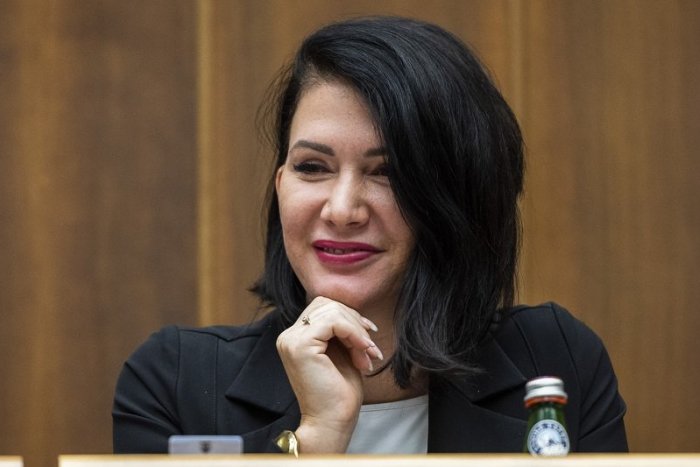 Ilustračný obrázok k článku NEMÁ na to! Poslanci odvolali J. Bittó Cigánikovú z postu šéfky zdravotníckeho výboru