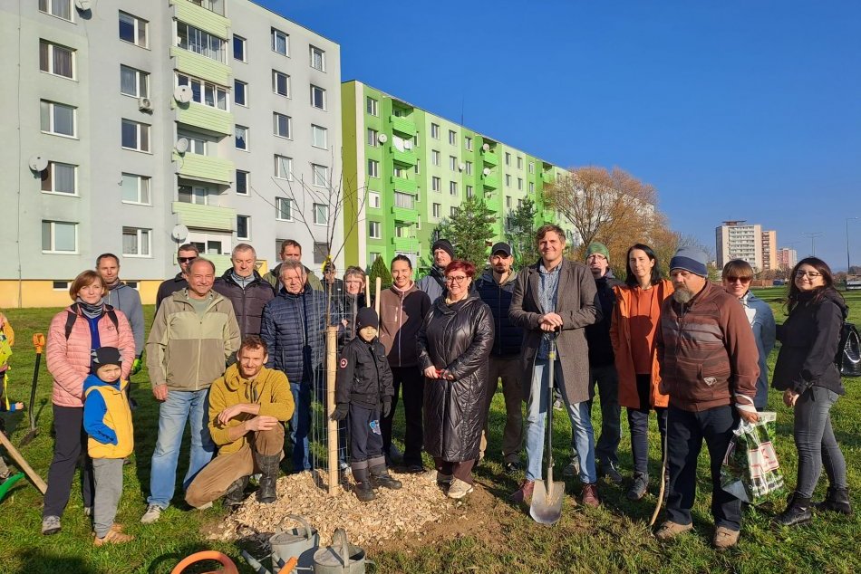 Ilustračný obrázok k článku V Topoľčanoch začali s výsadbou Zeleného sadu: Ponúkne staré odrody ovocia, FOTO