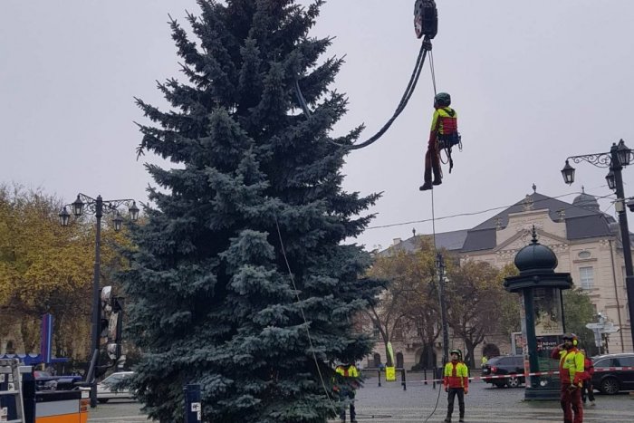 Ilustračný obrázok k článku Vianočný smrek krášli Hviezdoslavovo námestie: Vieme, kedy sa ROZŽIARI