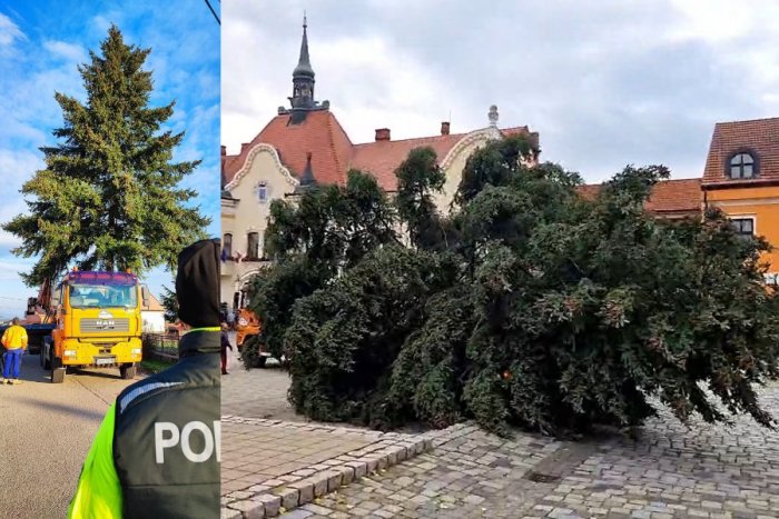 Ilustračný obrázok k článku Topoľčany sa pripravujú na sviatky: Na námestie priviezli vianočný stromček