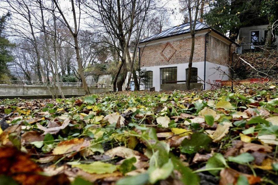 Ilustračný obrázok k článku Nádherný domček v krásnej záhrade je OTVORENÝ: Môžete si tam dať kávu aj zahrať sa