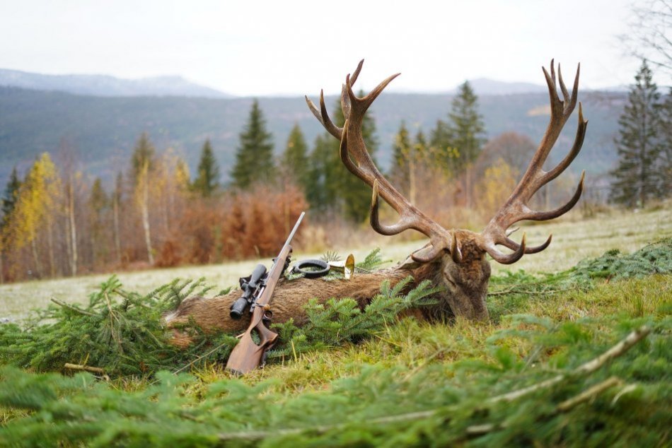 Ilustračný obrázok k článku Na Poľane bol ulovený UNIKÁTNY jeleň: Bude prekonaný rekord? FOTO