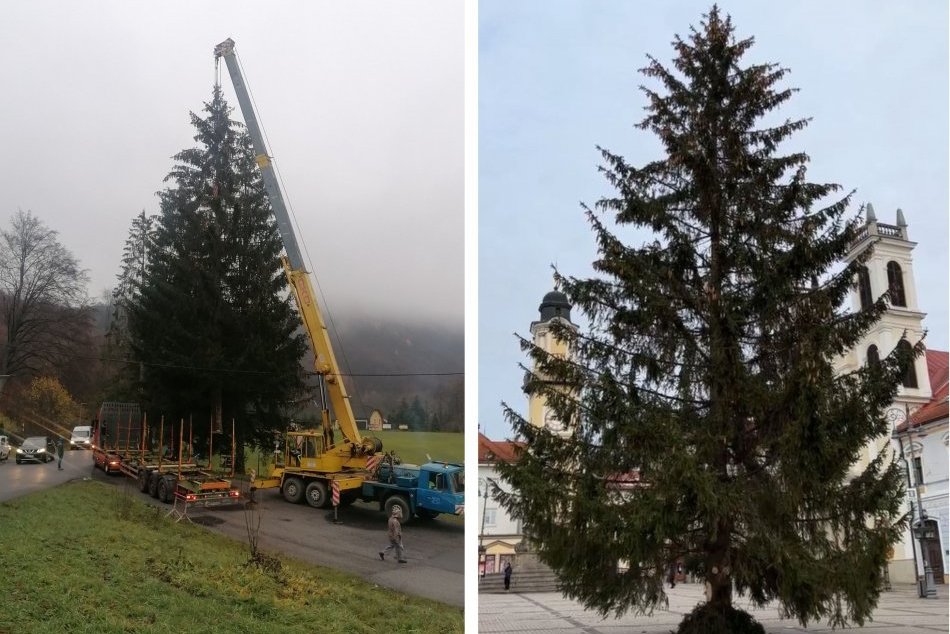 Ilustračný obrázok k článku Bystrica čoskoro získa novú DOMINANTU: Kedy osadia VIANOČNÝ stromček na námestí?