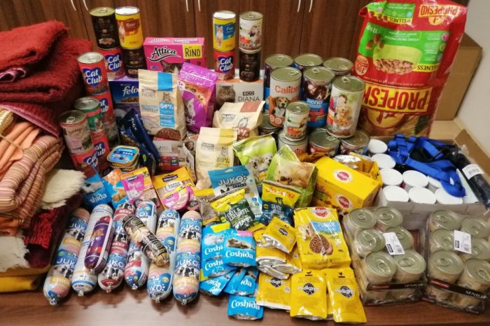 Ilustračný obrázok k článku Nitriansky útulok potrebuje POMOC! Zorganizovali zbierku: Chýbajú konzervy a granule