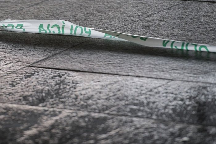 Ilustračný obrázok k článku Hrôza v pražskom parku: Našli tri bezvládne telá, polícia vyšetruje náslinú smrť