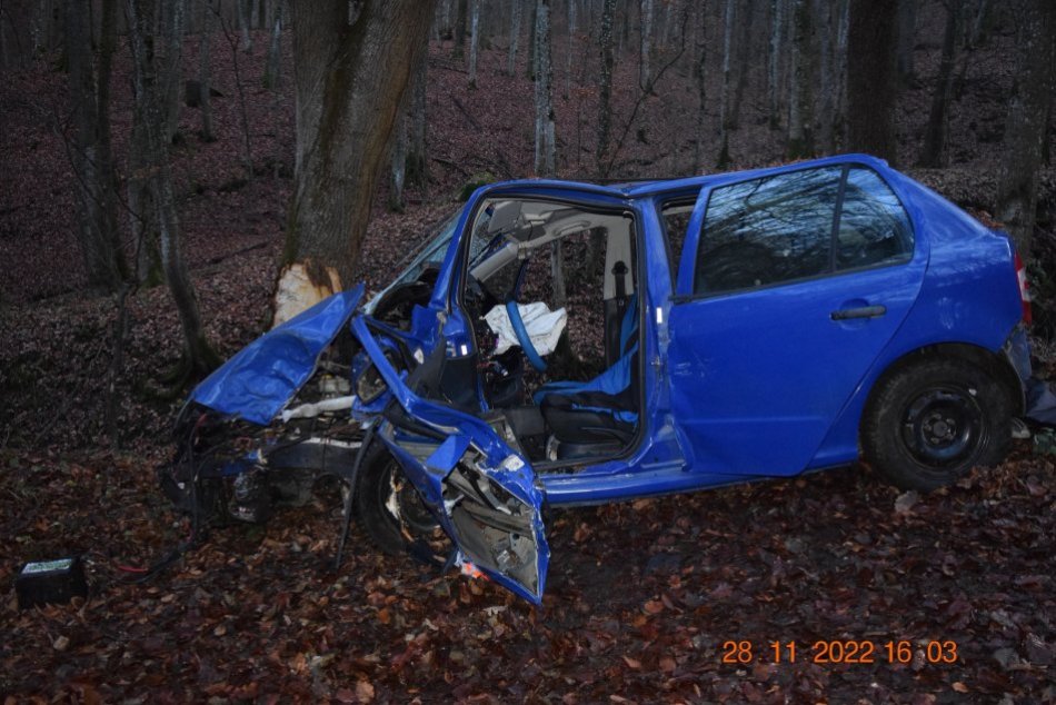 Ilustračný obrázok k článku Náraz do stromu sa skončil TRAGICKY: Neprežil vodič ani jeho spolujazdec, FOTO