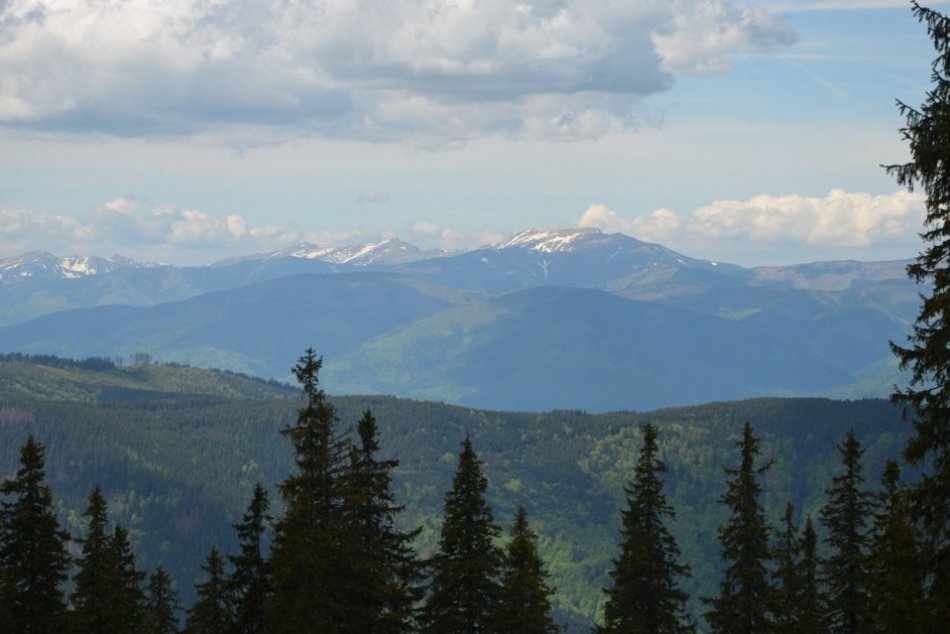Ilustračný obrázok k článku Tip na VÝLET: Muránska planina ponúka pohľad na HVIEZDY a vzácne lesy aj zo sedla koňa hucula