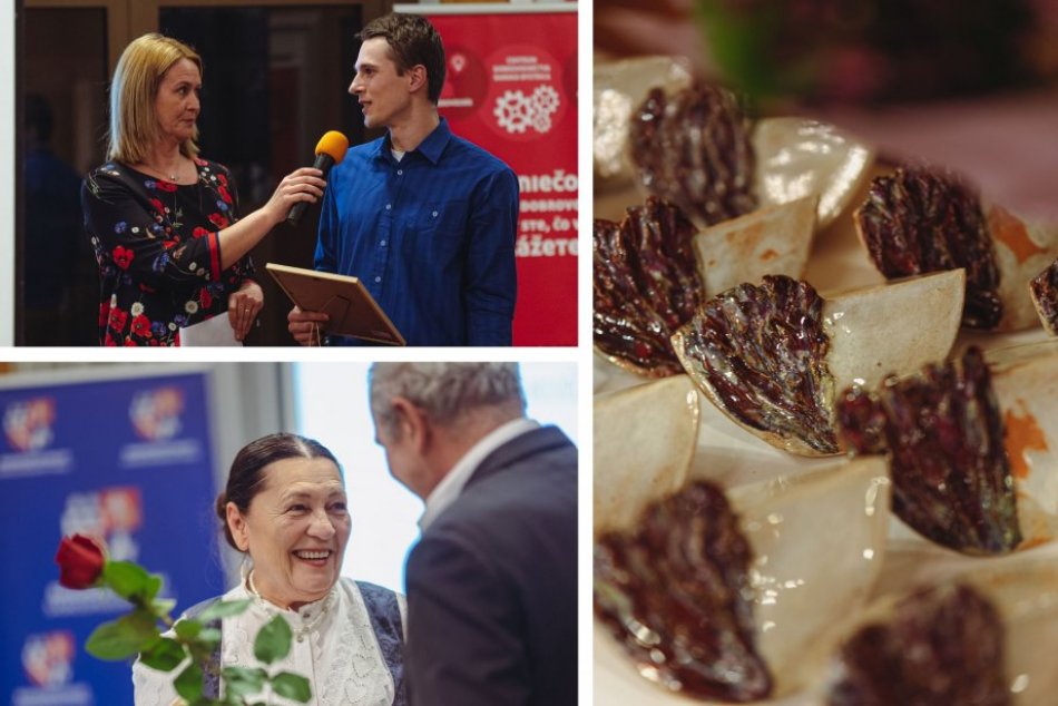 Ilustračný obrázok k článku V Banskobystrickom kraji ocenili výnimočných DOBROVOĽNÍKOV: Toto sú ľudia so SRDCOM na dlani