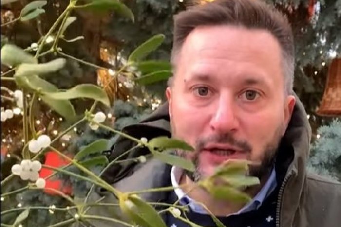 Ilustračný obrázok k článku Bratislavčania, chcete sa na Vianoce POBOZKAŤ pod imelom? Mesto ho rozdáva ZADARMO! +VIDEO