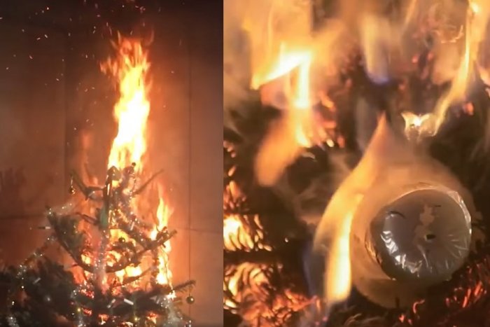 Ilustračný obrázok k článku Máte už vianočný stromček? Vyhnite sa osudovým CHYBÁM, upozorňujú hasiči