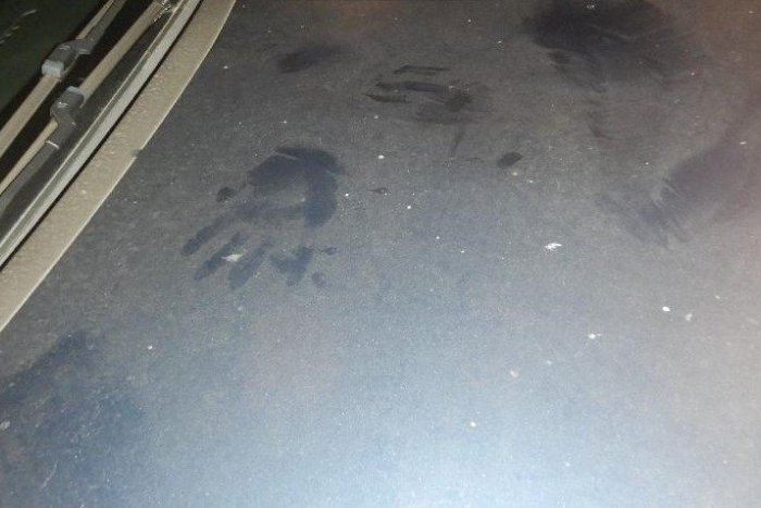 Ilustračný obrázok k článku Zbláznil sa? Mladík úmyselne skákal na kapoty idúcich áut, vodiči v šoku! FOTO