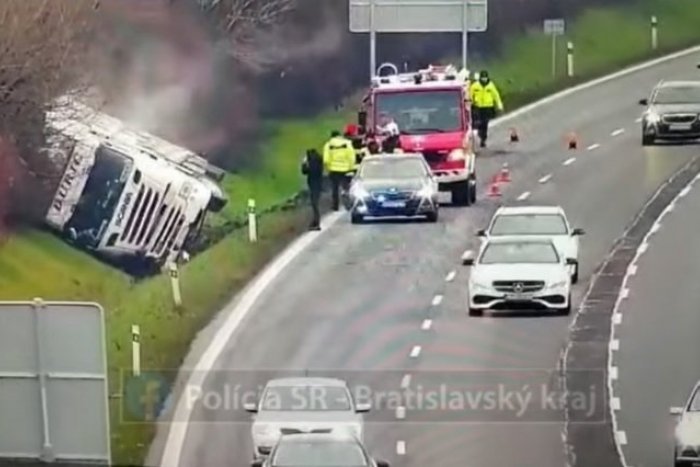 Ilustračný obrázok k článku Strašné! Na D1 sa PREVRÁTILO auto, prevážalo 63 BÝKOV. Diaľnica bola uzatvorená + VIDEO