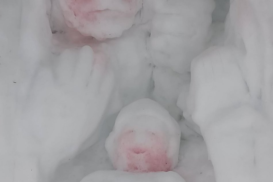 Ilustračný obrázok k článku Smutný a zdesený chatár: Ktorý ožratý IDIOT polial vínom Betlehem? FOTO