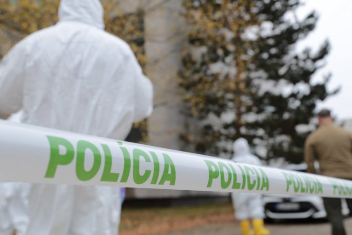 Ilustračný obrázok k článku DRSNÉ zábery tesne pred vraždou v Michalovciach: Žena utekala pred vrahom a kričala o pomoc