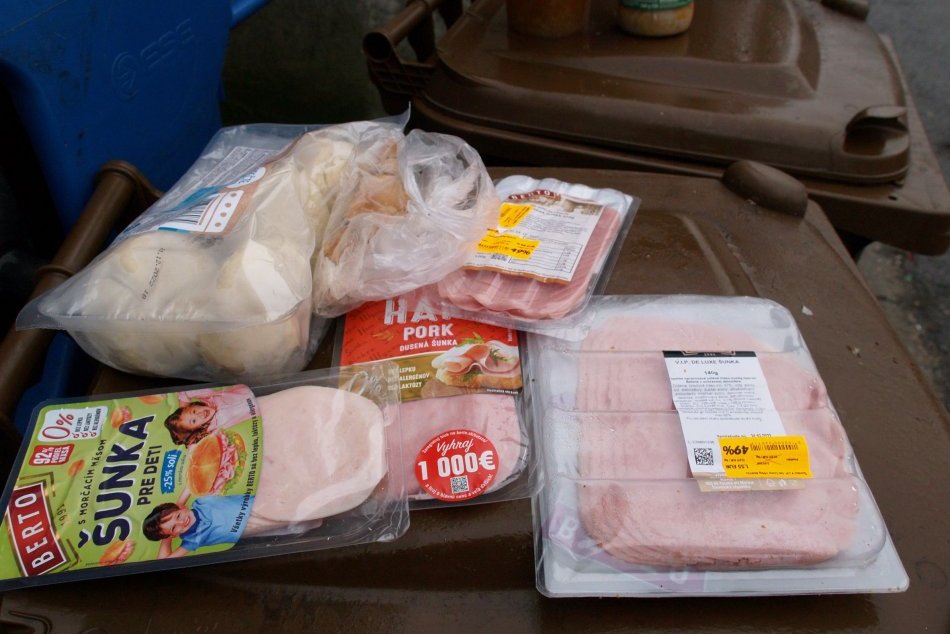 Ilustračný obrázok k článku Takto sa v Bratislave PLYTVÁ jedlom: Pozrite, čo VŠETKO ľudia po sviatkoch vyhadzujú, FOTO