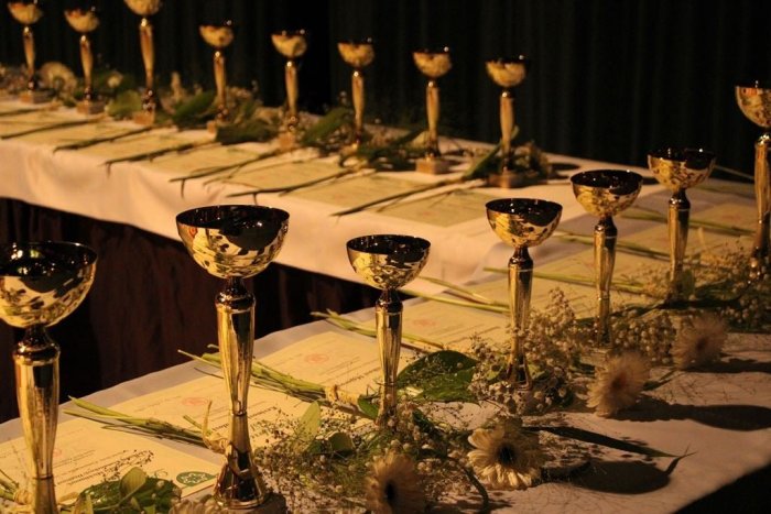 Ilustračný obrázok k článku V Nových Zámkoch nezabudli ani na žiakov: Ocenia tých NAJ za rok 2022