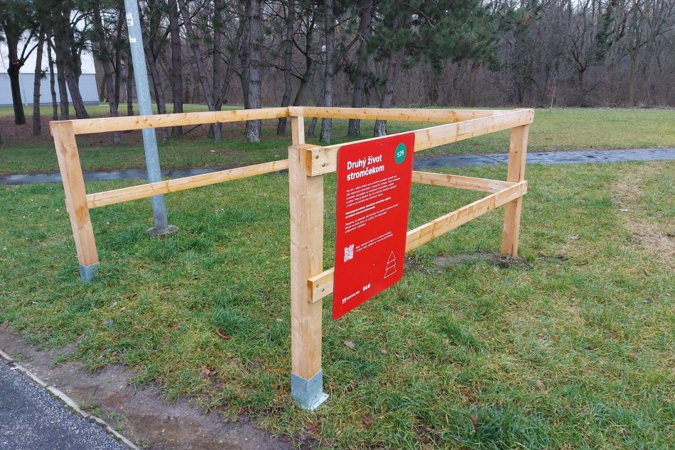 Ilustračný obrázok k článku Neviete kam so STROMČEKOM po sviatkoch? Možností je niekoľko, po ruke sú drevené OHRÁDKY