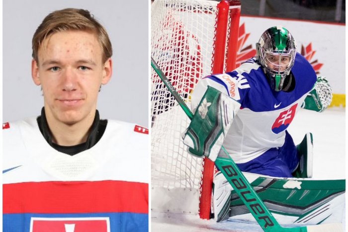 Ilustračný obrázok k článku OBROVSKÁ pocta pre nášho mladíka: Hokejový svet ovládol slovenský brankár Gajan!