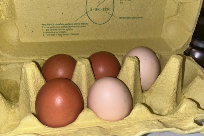 Ilustračný obrázok k článku Bude praženica pre Slovákov LUXUS? Za vajíčka platíme čoraz viac a má byť ešte HORŠIE
