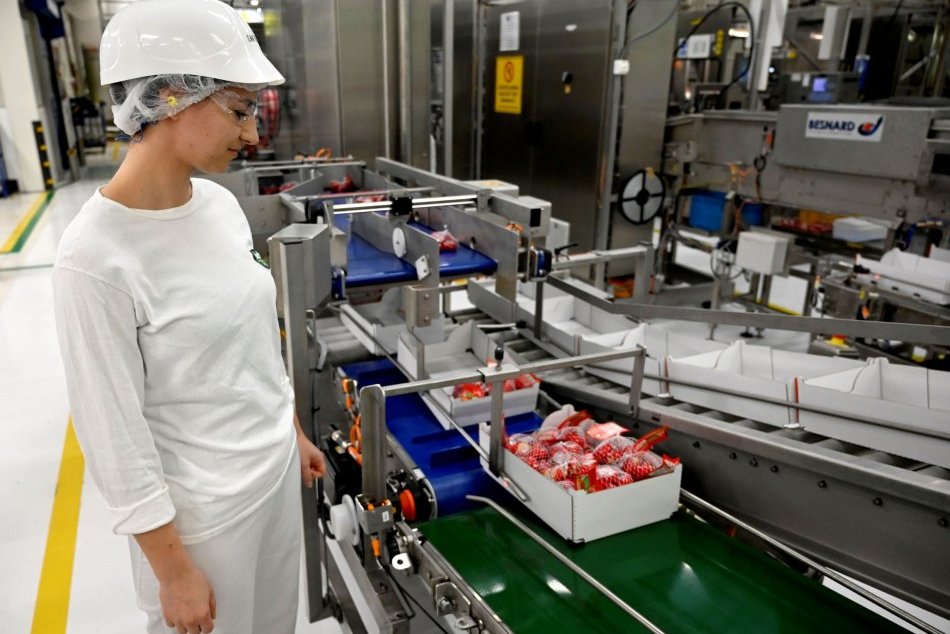 Ilustračný obrázok k článku Syráreň na východe sa ROZRÁSTLA: Vyrábajú PÄTINU celosvetovej produkcie známej pochúťky, FOTO