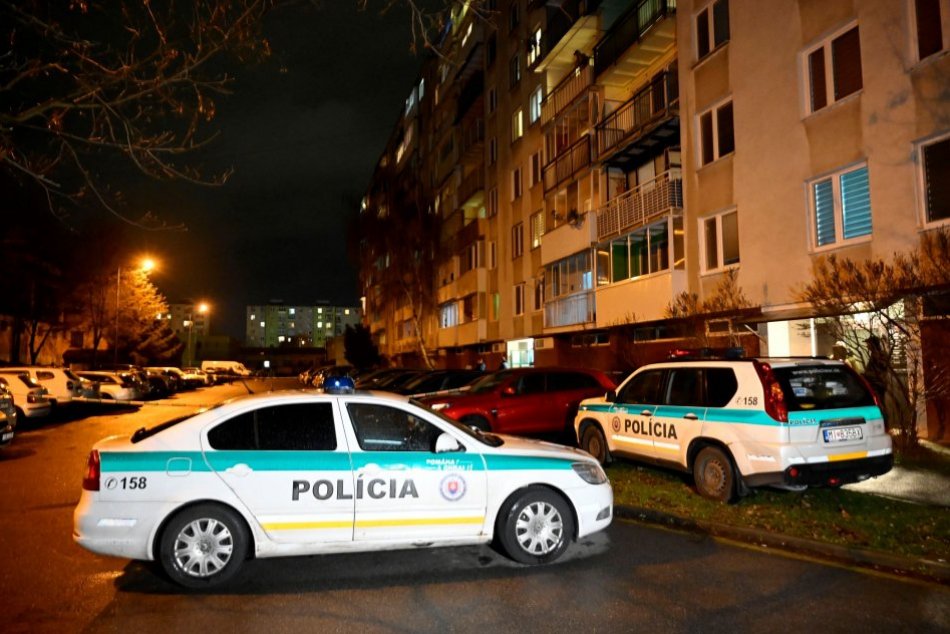 Ilustračný obrázok k článku Hádka na východe skončila BIZARNE: Žena na muža hodila korytnačku