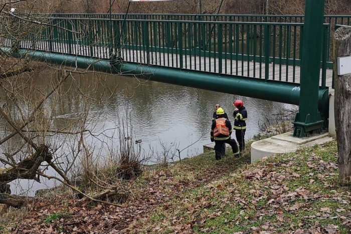 Ilustračný obrázok k článku Polícia hľadá SADISTICKÉHO vraha: Slovákovi odrezal HLAVU a genitálie! FOTO